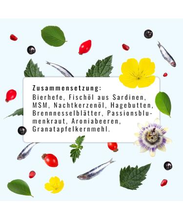 Sollis Fellfinesse - Change of Fur Support for Dogs | Itching Dermatitis & Hair Loss Relief | Skin & Fur Care | 300g - Buy Online on GoSupps.com