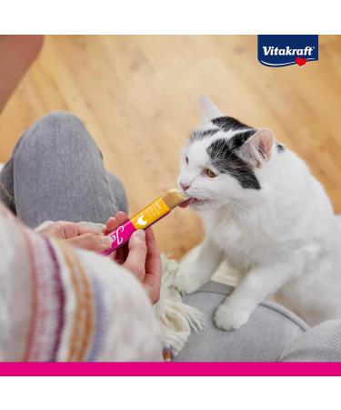 Vitakraft Jelly Lovers Cat Snack with Salmon & Plaice | Bulk Pack (6x15g) - No Added Sugar or Grains - Buy Online on GoSupps.com