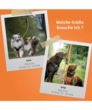 Floxic Premium Kleine Dog Leash | 3M Adjustable Touwline for Small & Medium Dogs | Stylish & Durable in Gray or Orange | 8mm - Buy Online on GoSupps.com