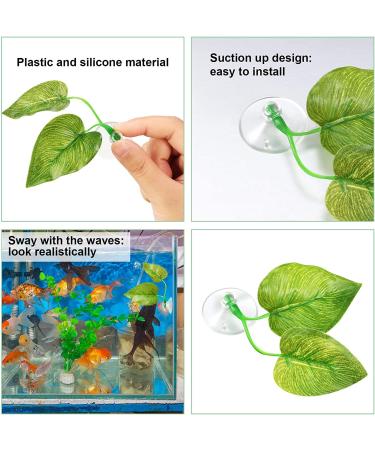 Aquarium Feeding Set: Fish Feeding Ring, Food Feeder, Spawning Bed, Betta Leaf Pad - 4 Pieces - Buy Online on GoSupps.com