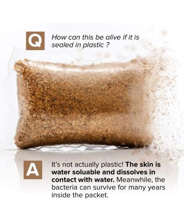 1 Year Supply Septic Tank Treatment - 12 Easy Flush Live Bacteria Packets - Prevent Sewage Backups - USA Made - Buy Online on GoSupps.com