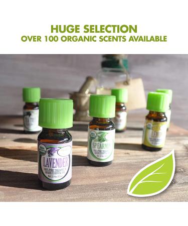 Organic Cinnamon Cassia Essential Oil - Healing Solutions 10ml | Natural Aromatherapy - Buy Online on GoSupps.com