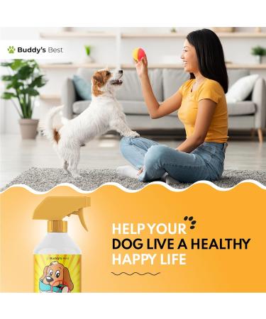 BUDDY'S BEST Anti Chew Spray for Dogs | Stop Chewing & Biting | Deter & Train Puppies | Fast Acting 250ml - Buy Online on GoSupps.com