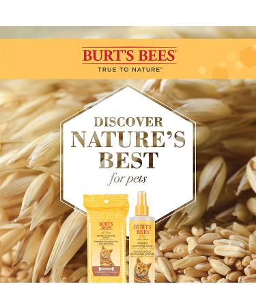 Burt's Bees Dander Reducing Wipes for Cats | Colloidal Oat Flour | 50 Count - Buy Online on GoSupps.com