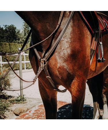 Buy SUNRIDE Windsor Leather Breastplate with Martingale for Horses - Adjustable & Elastic - Cob Brown - International Shipping Available - Buy Online on GoSupps.com