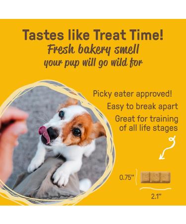 Cookie PAL Dog Treats Peanut Butter Human Grade Organic Dog Treats for Large Dogs and Small Crunchy Dog Training Treats Puppy Treats 300g (Pk of 3) Peanut Butter 300 g (Pack of 3) - Buy Online on GoSupps.com