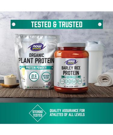 Now Sports Nutrition Whey Protein 24 G with BCAAs Matcha Powder 2-Pound Matcha 1 Pound (Pack of 2) - Buy Online on GoSupps.com