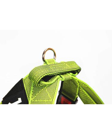 Julius-K9 Belt Harness XL/2 Neon Grey - Durable Stylish & Comfortable Pet Gear for International Shipping - Buy Online on GoSupps.com