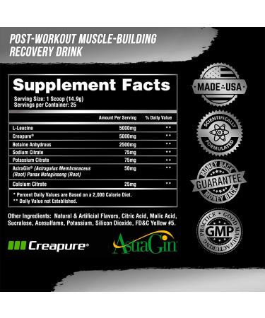 Alpha Lion Superhuman Post Workout Recovery - Fast Acting for Men & Women (25 Servings) - Buy Online on GoSupps.com