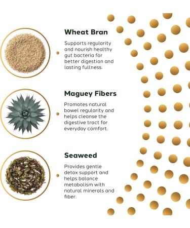 MAYAHUEL Forte Dietary Fiber Supplement Powder 300g | Supports Digestive Health & Weight Management - Buy Online on GoSupps.com