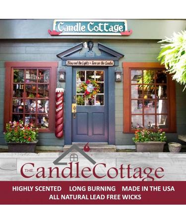 Medium DUOS Fragrance Candles - Decadent Pumpkin & Cinnamon Spice | Highly-Scented Soy Candle | 12 oz | Made in USA | Long Burning Hours - Buy Online on GoSupps.com