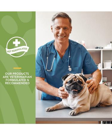 NaturVet No Scoot for Dogs with Pumpkin - Supports Anal Gland & Bowel Health - 120 Soft Chews - Buy Online on GoSupps.com