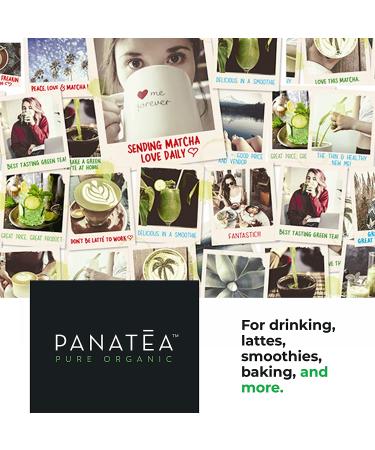 PANATEA Organic Matcha Green Tea Powder - 1 LB Culinary Grade | 100% Pure Premium Matcha for Lattes, Smoothies, Baking | 16 Oz Tin - Buy Online on GoSupps.com