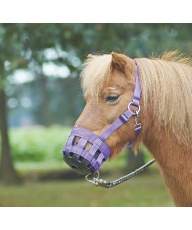 BUSSE grazing muzzle CLASSIC royal blue thoroughbred