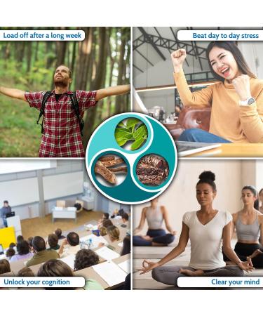 Health4All Load Off Adaptogen Complex 120 Capsules - Anxiety & Stress Support Supplement with Ashwagandha, Rhodiola & L-Theanine - Vegan Friendly - 120 Count - Buy Online on GoSupps.com