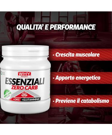  WHY SPORT WHY SPORT ESSENTIALS ZERO CARB - Essential Amino Acids with Vitamin B6 and Glutamine - Kiwi Lime Flavor - 240g - Buy Online on GoSupps.com