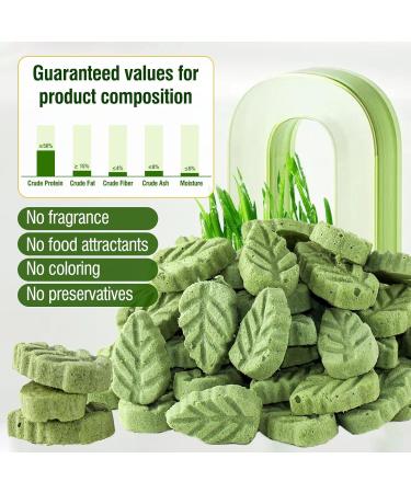 100g Cat Grass Treats Cat Grass Teething Stick for Hairball Remove and Teeth Cleaning Edible Cat Grass Stick Snack - Buy Online on GoSupps.com