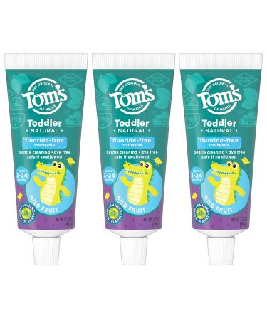 Tom's of Maine Fluoride-Free Toddler Training Toothpaste 1.75 oz. 3-Pack - Mild Fruit Flavor - Packaging May Vary - Buy Online on GoSupps.com