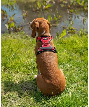 Buy Lionto Dog Harness - Padded Anti-Pull Reflective Safety Harness Adjustable Size M Red - International Shipping Available - Buy Online on GoSupps.com