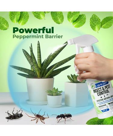 Mighty Mint 16oz Peppermint Oil Natural Spray for Spiders, Ants, and More | Insect and Pest Control - Buy Online on GoSupps.com