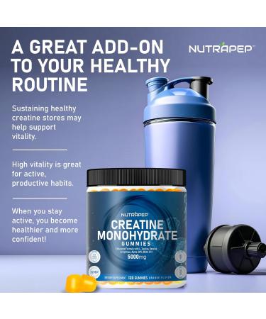 Buy Sugar-Free Creatine Monohydrate Gummies 5g for Men & Women | L-Taurine Betaine Alpha-GPC BCAA | Gluten-Free Chewable Supplement Bites - Buy Online on GoSupps.com