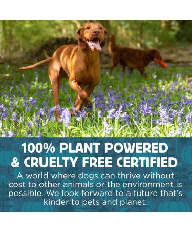 Got an Itch Hemp Wellness Treats - Vegan Dog Treats - UK Made (130g) - Buy Online on GoSupps.com