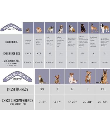 Walkabout Double Knee Brace + Chest Halter Combo Treat CCL and Other Canine Joint Injuries with this Vet-Recommended Compression Brace Built for Immediate Support and Rapid Relief Best Used for Pre/Post Operative Rehabilitation or as an Alternative To Cos - Buy Online on GoSupps.com