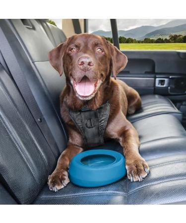 Kurgo Splash-Free Hiking Water Bowl for Dogs | BPA-Free 710ml | Perfect for Food & Water on the Go - Blue - Buy Online on GoSupps.com