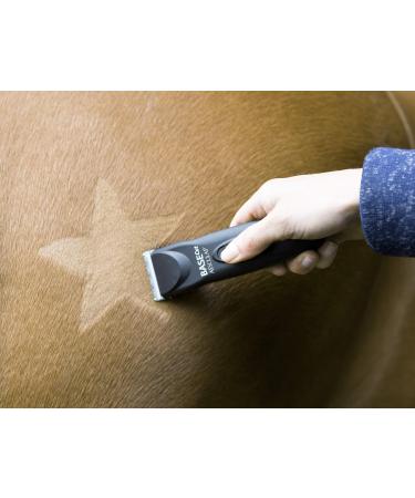 Kerbl 321900 Shearing Template for Horses - Set of 3 | International Shipping Available - Buy Online on GoSupps.com