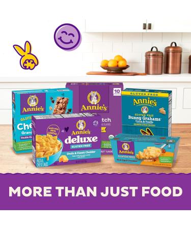 Annie's Gluten Free Chewy Granola Bars - Double Chocolate Chip 11.76 oz (Pack of 12) | Healthy Snacks Nutritious & Delicious - Buy Online on GoSupps.com
