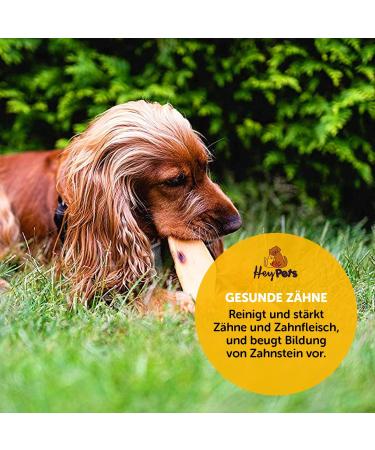 Hey Pets Beef Head for Dogs - 500g Natural Cereal-Free Chews | Ideal for Tooth Cleaning | 14cm Pieces | 100% Natural & Untreated - Buy Online on GoSupps.com