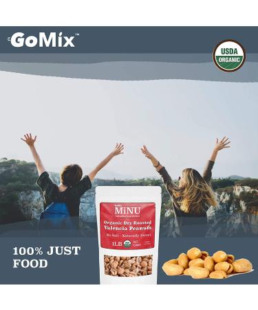 MiNU Organic Raw Hazelnuts 16 oz - #1 Keto Paleo Snack, Superfood Protein, Vegan, NonGMO, Gluten Free - Turkey Organic Raw Hazelnuts 1lb - Buy Online on GoSupps.com