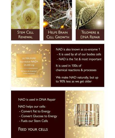 Buy NAD+ 80g Ultra Pure 99.5% Nicotinamide Adenine Dinucleotide - Boost Energy Metabolism & Mood International Shipping Available - Buy Online on GoSupps.com