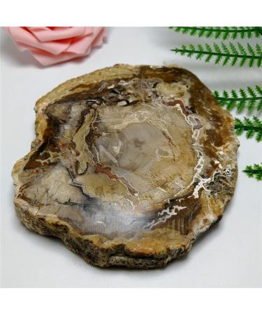 Natural Stones and Minerals Crystal Woodstone for Home Living Room Office Desktop Decoration JZIGTDEM (Color : As Shown Size : 60-80g) 60-80g As Shown - Buy Online on GoSupps.com