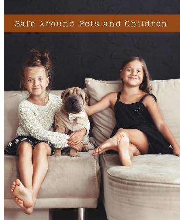 Juicy Georgia Peach Natural Hair & Body Mist Spray Pure Essential and Fragrance Oils Alcohol-Free Handmade in California 0.5Fl Oz Juicy Georgia Peach 0.5 Fl Oz - Buy Online on GoSupps.com