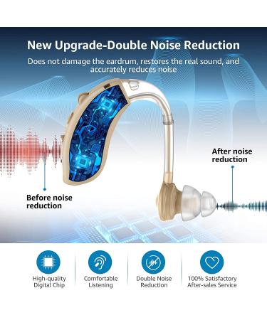 Rechargeable Hearing Aid for Seniors - Noise Cancelling Digital Amplifier for Adults with Volume Control - Flesh - Buy Online on GoSupps.com