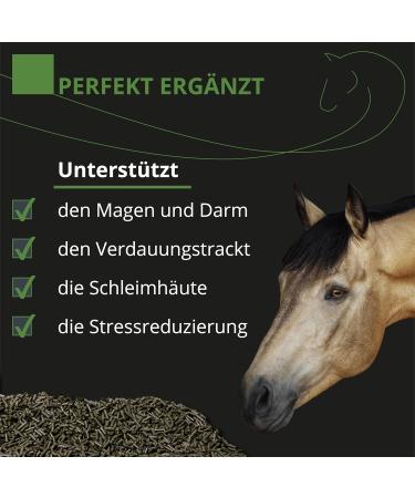 Equinova Gastro Renon 3 kg. - Buy Online on GoSupps.com