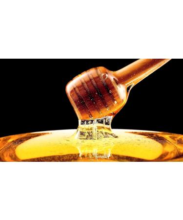 ApiGingembre Orange Blossom Honey with Organic Ginger and Organic Lemon from Spain Unfiltered Unpasteurized No Additif No Suger Added - Buy Online on GoSupps.com