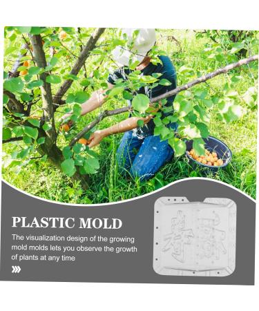 SUPVOX 8 Pcs Square Apple Square Fruit and Vegetable Growing Stereotypes Melon - Buy Online on GoSupps.com