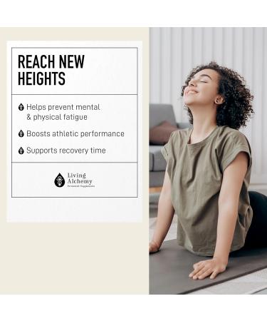 Rhodiola Energy Supplement - Fermented Rhodiola with Astragalus & Turmeric - Cognitive Athletic Performance & Adrenal Support Supplements for Men & Women - Vegan Non-GMO - Living Alchemy 60 Pcs - Buy Online on GoSupps.com