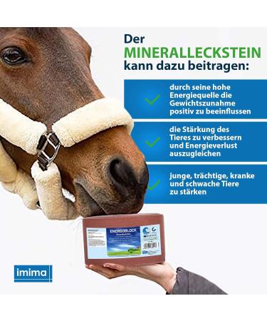 Imima Mineral Lick Energy Block Set - 2 x 3kg Salt Licks for Horses Sheep Goats and Cattle - 6kg Mineral Stone for Optimal Nutrition - Buy Online on GoSupps.com