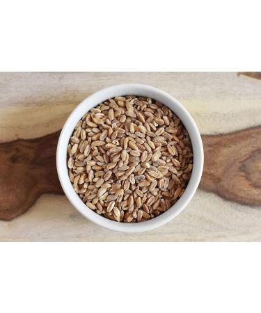Anthony's Organic Pearled Farro Grain  2 lb  Non GMO  Vegan 2 Pound (Pack of 1) - Buy Online on GoSupps.com