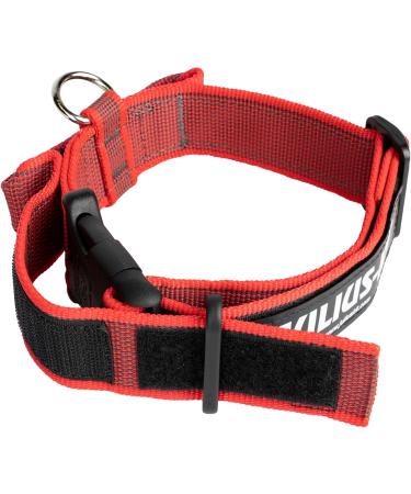 Shop Julius-K9 100HA-K-R-2015 Adjustable K9 Neck Band - Red-Gray with Handle Safety Closure 38-53 cm - International Shipping - Buy Online on GoSupps.com