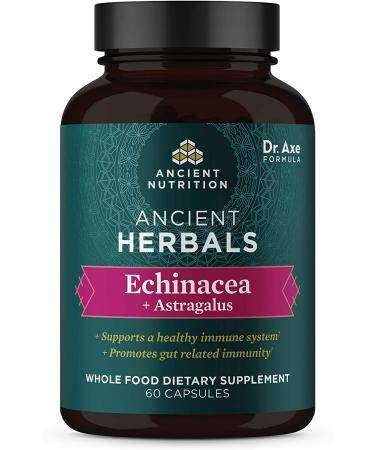 Ancient Nutrition Elderberry + Probiotics | Dr. Axe | 60 Capsules | Immune Support - Buy Online on GoSupps.com
