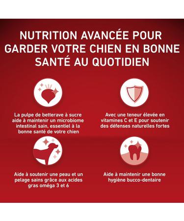 PURINA ONE Medium/Maxi 10kg | Adult | Rich Beef Dry Food for Adult Dogs | 7kg Bag - Buy Online on GoSupps.com