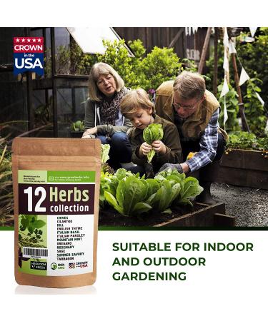 12 Culinary Herb Seeds Variety - USA Grown for Indoor and Outdoor Gardens | Heirloom and Non-GMO Seeds Including Basil, Parsley, Cilantro, Mint, Chives, Thyme, Oregano, Tarragon, Dill, Rosemary, Sage & More - Buy Online on GoSupps.com