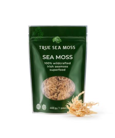 Organic Sea Moss Raw by TrueSeaMoss - Wild Crafted Seamoss Raw - 100% Organic Irish Sea Moss Raw - Dried Sea Moss Advanced Drink - Clean and Sundried - Vegan Sea Moss (1Pound) (16oz) 1 Pound (Pack of 1)