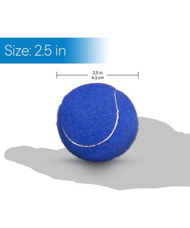 RMS Walker Glide Balls - A Set of 2 Balls with Precut Opening for Easy Installation  Fit Most Walkers (Blue) - Buy Online on GoSupps.com