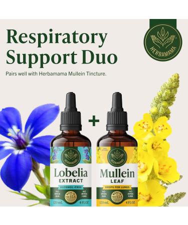 HERBAMAMA Lobelia Tincture - Vegan Lobelia Leaf Extract for Lung Cleanse & Detox - Respiratory Lung Support Drops - Non-GMO, Alcohol & Sugar-Free Respiratory Support Supplement 4 Fl Oz (Pack of 1) - Buy Online on GoSupps.com