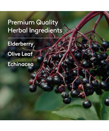 Harker Herbals Immune + Wellbeing Syrup Herbal Formula with Elderberry Echinacea & Olive Leaf High Absorption Wild Berry Flavor Plant-Based - 6.7 Fl oz (40 Servings) - Buy Online on GoSupps.com